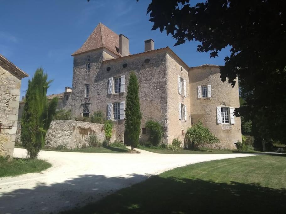 Chateau Barayre - Beautiful 12Th Century Castle With Pool And Large Garden Laussou Zewnętrze zdjęcie