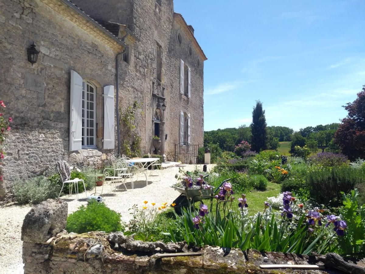 Chateau Barayre - Beautiful 12Th Century Castle With Pool And Large Garden Laussou Zewnętrze zdjęcie